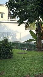 Siglap Road (D15), Detached #576282801